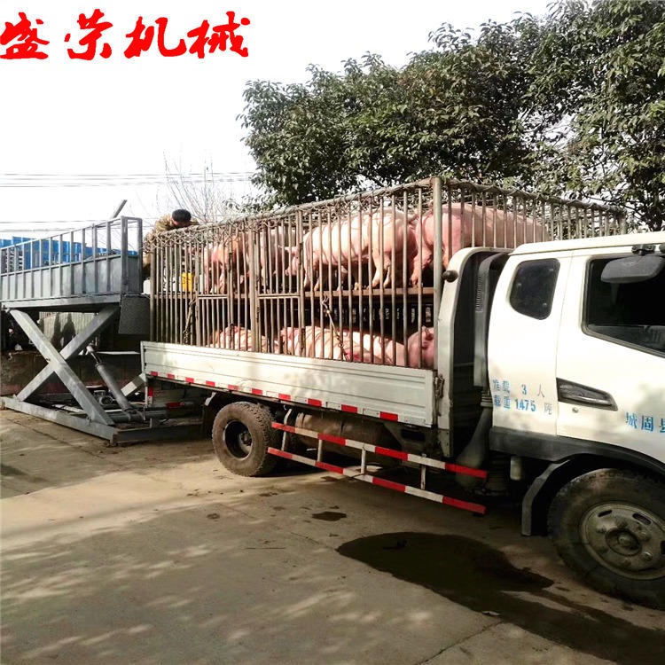 装猪猪台盛荣升降猪台 移动式装猪台卸猪台 厂家定制SJY