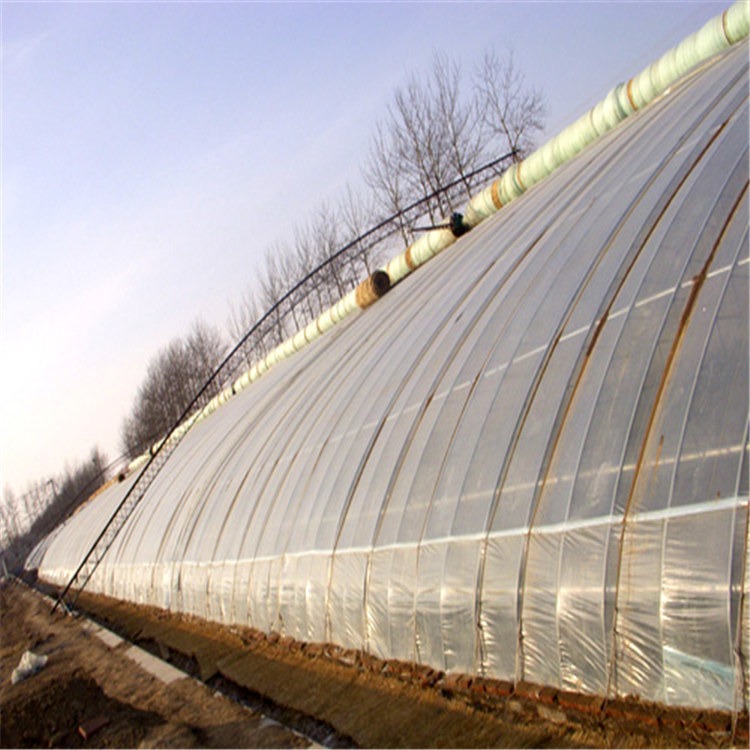 蓝莓种植大棚搭建 天津草莓种植大棚 旭航温室图片