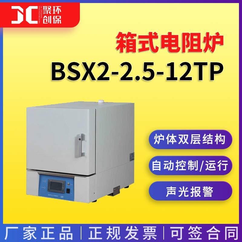上海一恒可程式箱式电阻炉BSX2-2.5-12TP图片