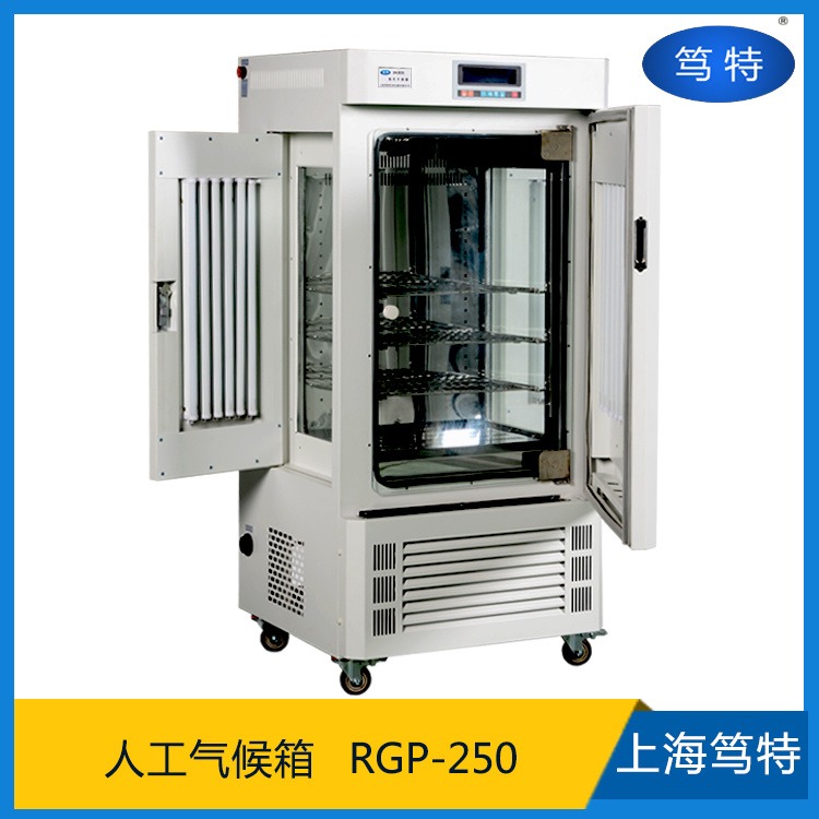 上海笃特厂家热销RGP-250智能光照人工气候试验箱 多功能气候恒温箱