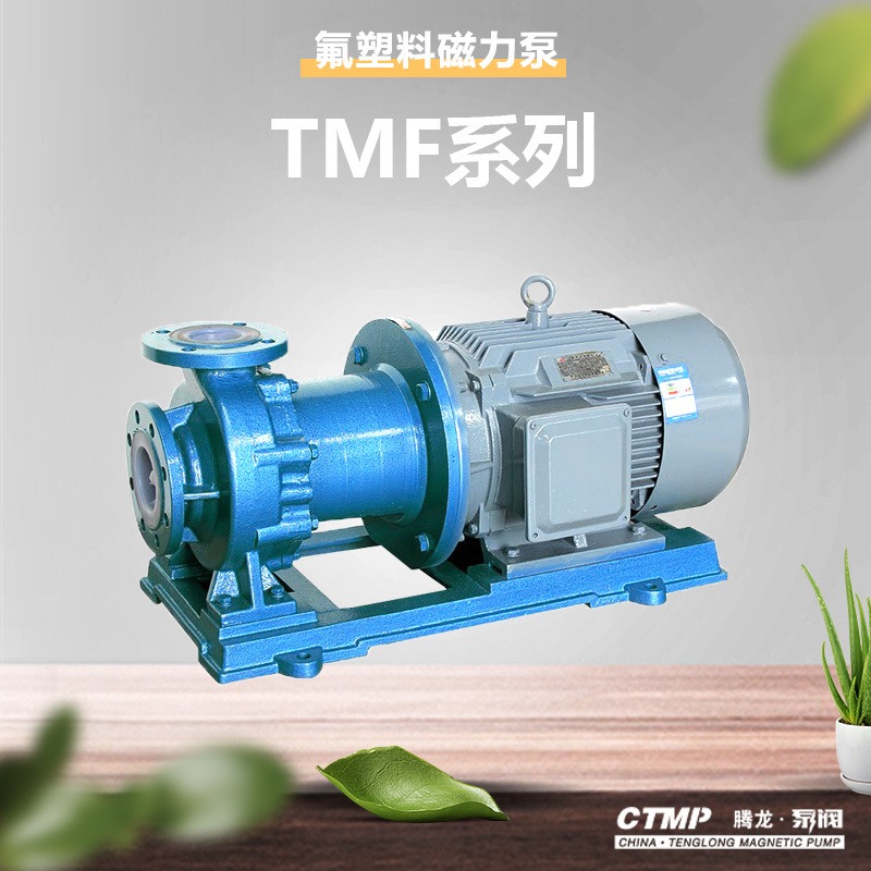 65TMF-50氟塑料磁力泵 化工打料泵 耐高温磁力泵价格 腾龙泵阀