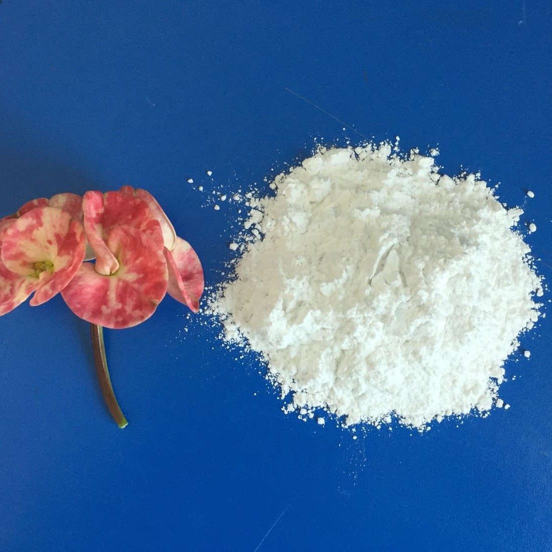 诚信石粉 塑料用细微滑石粉1250目阻燃增强填料