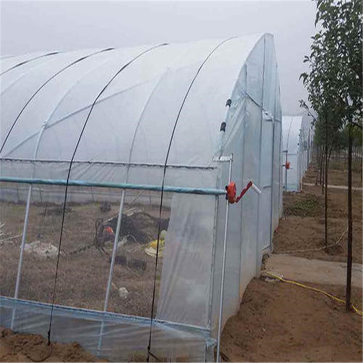 海门草莓钢架大棚造价 新式农业温室施工单位 旭航温室大棚建设图片