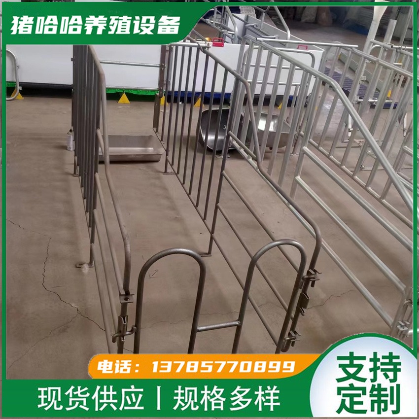 猪哈哈 落地式圆钢定位栏限位栏 整体热浸锌工艺尺寸可定制
