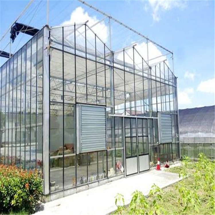 大连市双膜温室 平房二层玻璃温室 旭航四季温室大棚建设