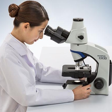 奥林巴斯显微镜OLYMPUS CX33 奥林巴斯100倍油镜 奥林巴斯厂家促销 显微镜价格优惠 售后有保障