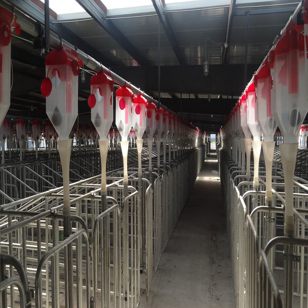 世昌畜牧机械供应 猪场设备 母猪喂料设备自动化 008
