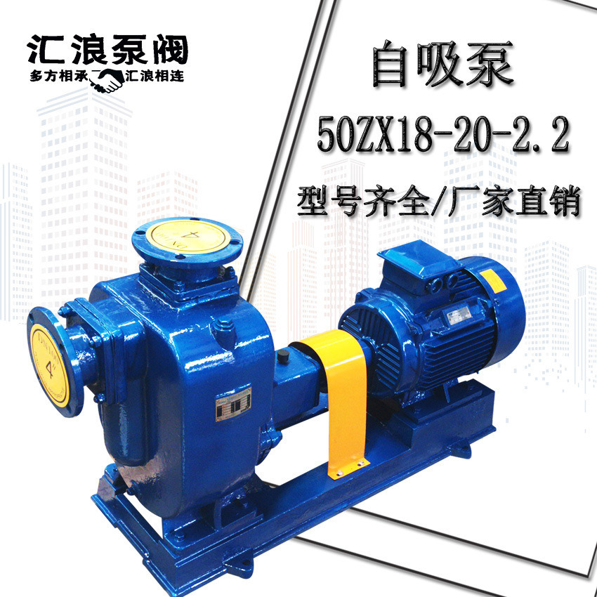 汇浪泵阀 ZW ZX 无堵塞污水泵 分体直连式自吸泵 50ZX18-20-2.2