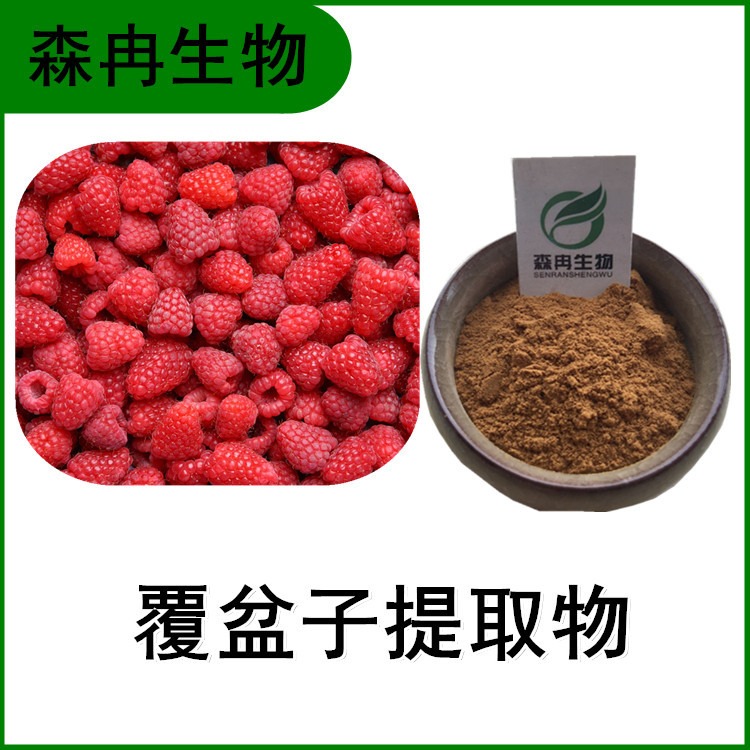 覆盆子提取物 树莓浓缩粉 比例提取 多种规格 提取原料粉图片