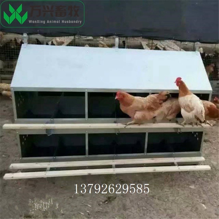 供应万兴畜牧鸡场鸡舍12窝产蛋箱 规格1500×990×1050