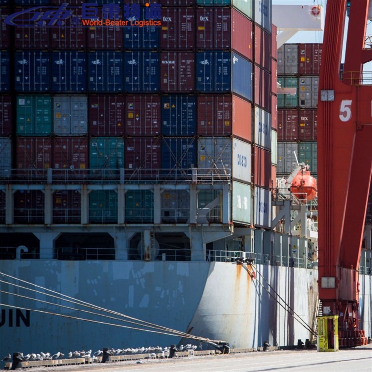 法国海运物流专线  中国海运国际物流  巨东物流13年海运服务专业可靠
