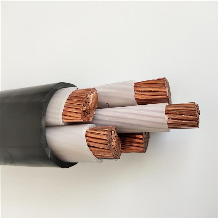 电力电缆 低压铜芯耐用双芯接地线电力电缆 YJV 4x501x25  0.6/1KV 现货型号齐全 源头厂家