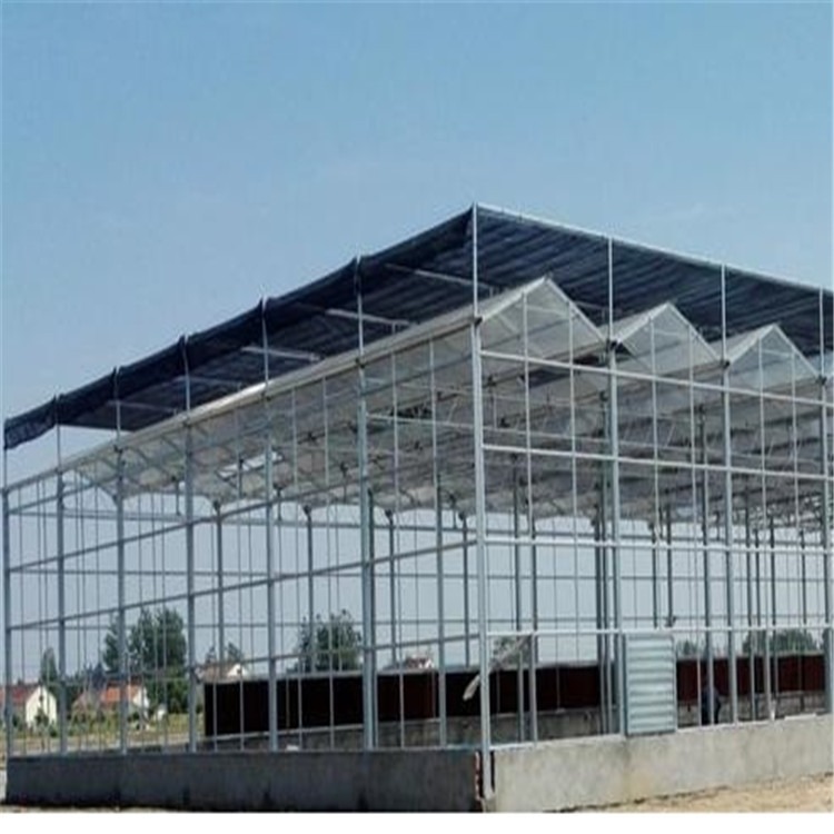 玻璃阳光农业温室 花木种植大棚设计 旭航温室大棚建设图片