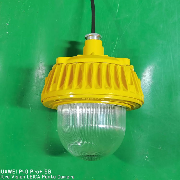环保设备防爆照明灯 环保设备内部LED照明灯 50WLED防爆吊杆灯