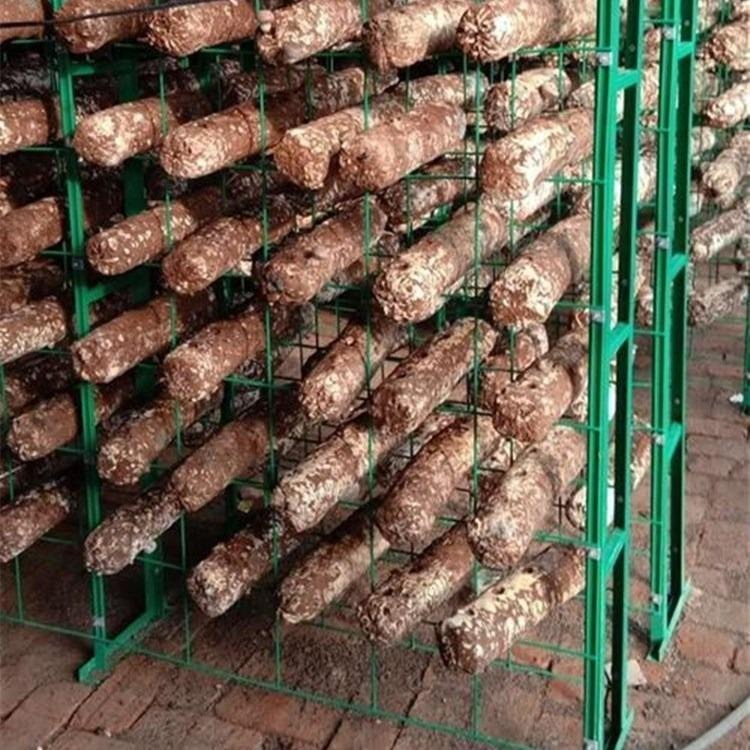 养殖蘑菇网片出菇架 网格架蘑菇架子平菇网架食用菌网格网架图片