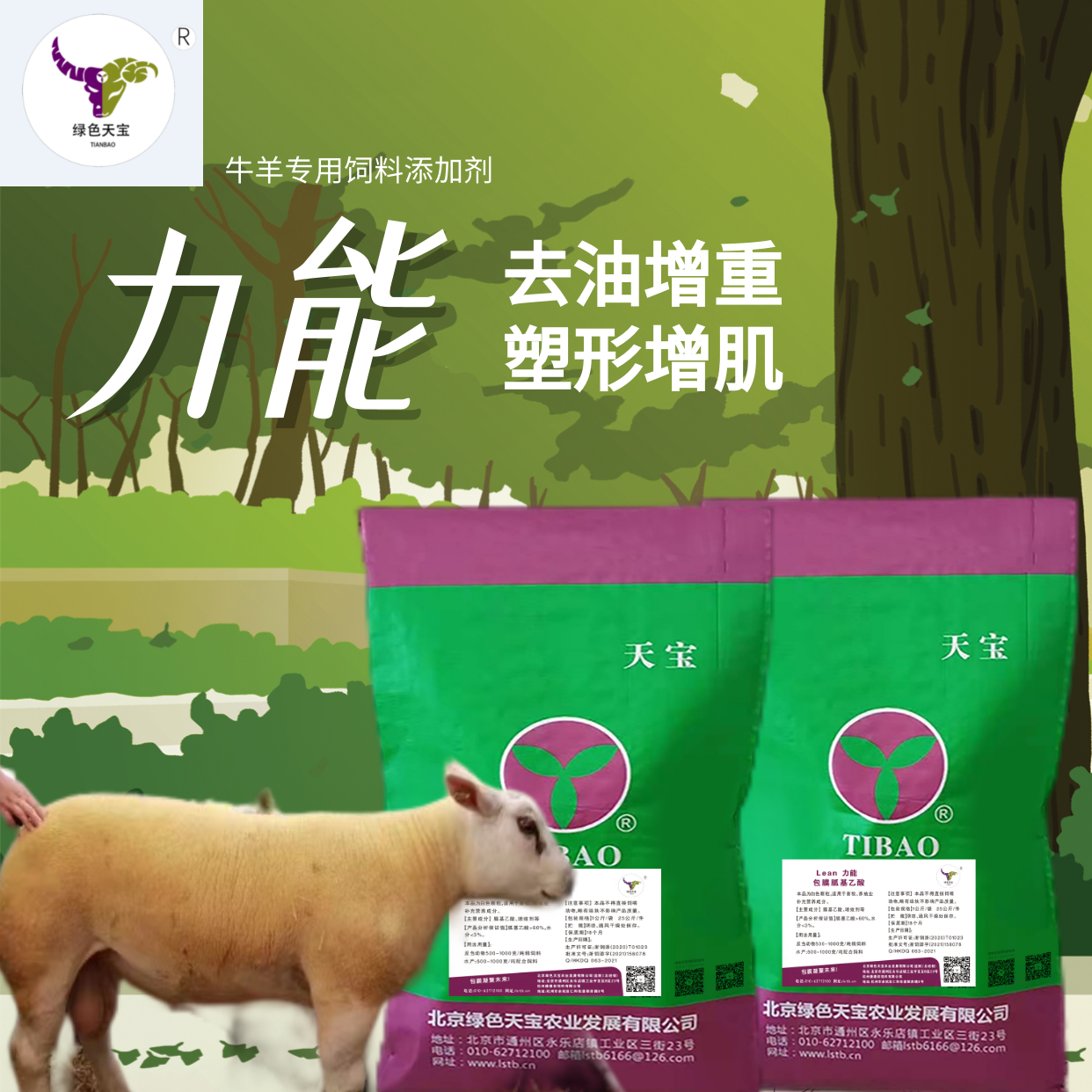 牛羊用胍基乙酸反刍动物提高繁殖性能绿色天宝