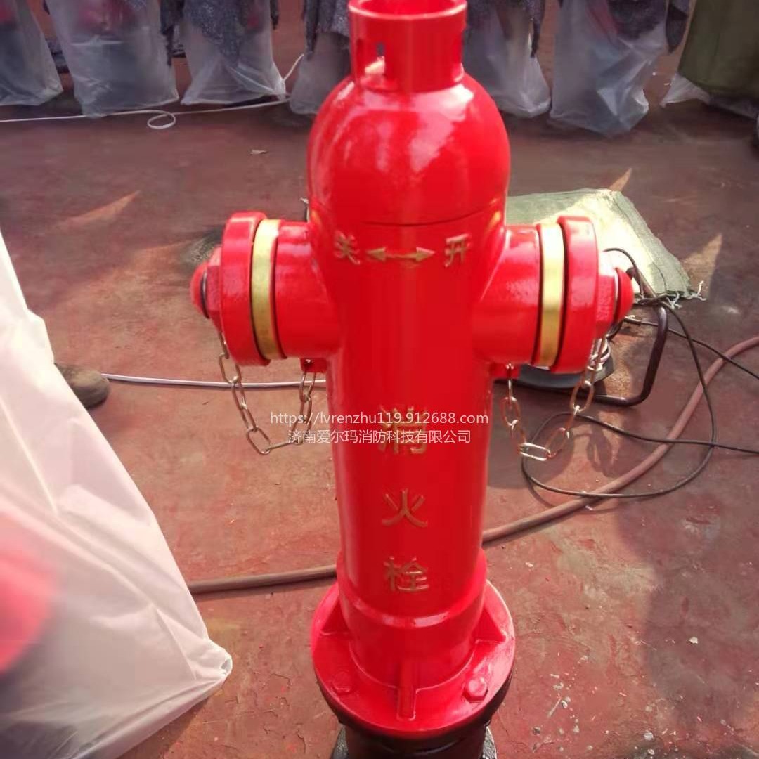 山东快开调压防冻防撞地上式泡沫消火栓生产企业 SSP100/65-1.6 定做加工