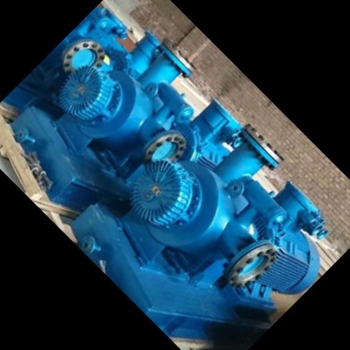 双螺杆保温泵 鸿海泵业 自吸泵 可气液混输 双螺杆泵  源头厂家图片