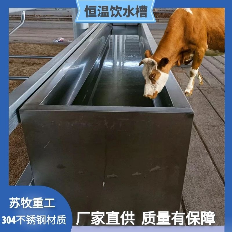 牛羊用不锈钢恒温饮水槽厂家 冬季饮水设备 牛喝水防结冰饮水器