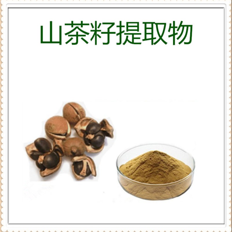 山茶籽提取物10:1 食品级 茶皂素 速溶粉 多规格 沃特莱斯生物
