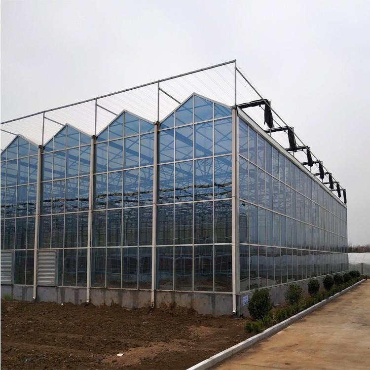 建达温室 新型玻璃温室 大棚制造厂家 玻璃温室大棚 智能温室建设 耐用阻燃 包工包料