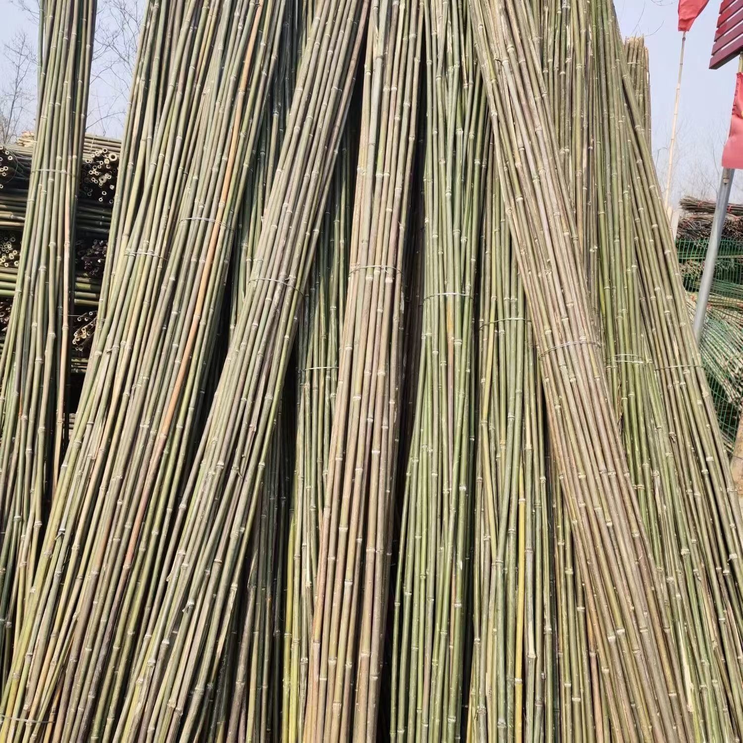 中指粗竹竿 1公分2,4米长菜架竹2米2.5米规格可定制