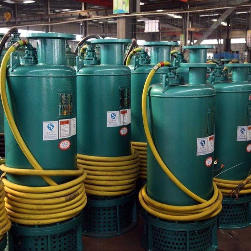 强制冷却排沙泵 双层壳体电机驱动排沙泵 BQS60-80/2-30/B排沙泵图片
