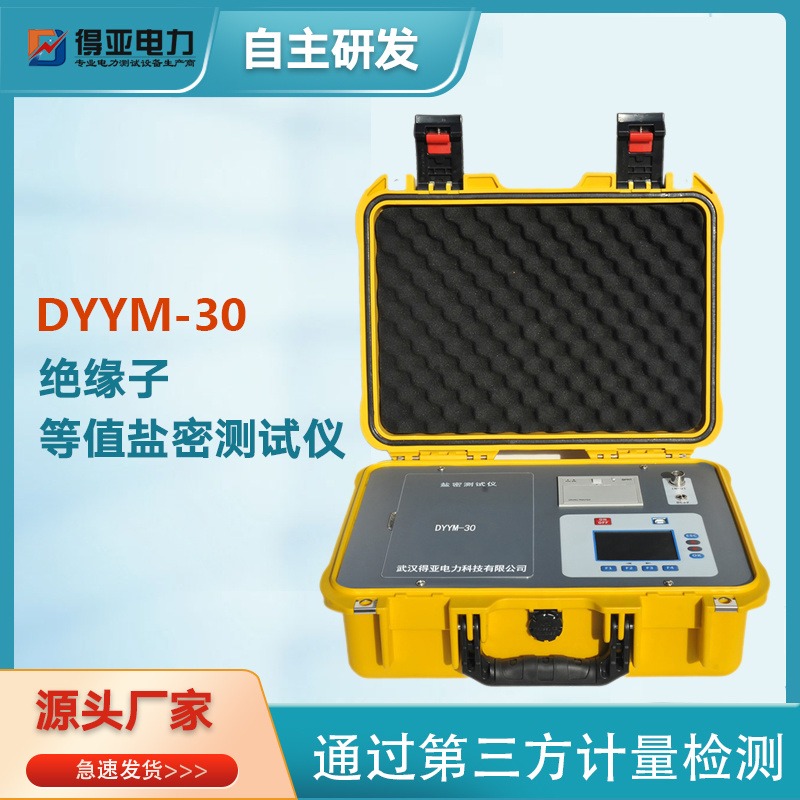 得亚 DYYM-3008盐密测试仪 智能电导盐密测试仪 绝缘子等值盐密测试仪 盐密仪厂家 盐密仪价格