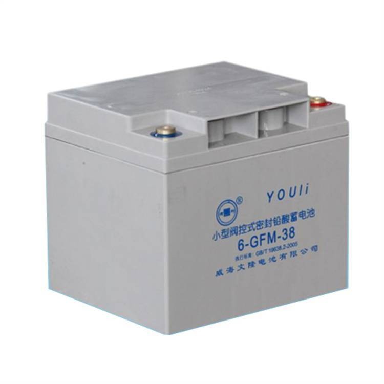 有利YOULI蓄电池6-GFM-38 12V38AH高性能阀控式免维护铅酸蓄电池