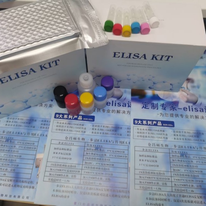 人细胞色素P450c21A21羟化酶试剂盒 CYP21A elisa试剂盒 仑昌硕生物