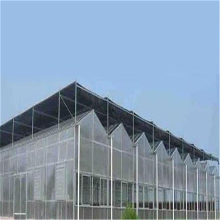 重庆文洛型温室 养殖蚯蚓的大棚 旭航温室大棚设计图片