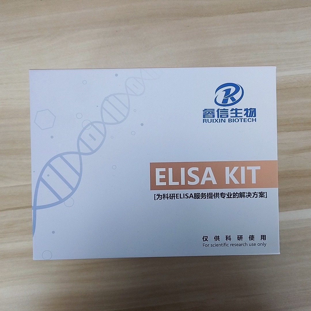 ELISA试剂盒 elisa试剂盒原理 阴阳性对照 睿信生物图片