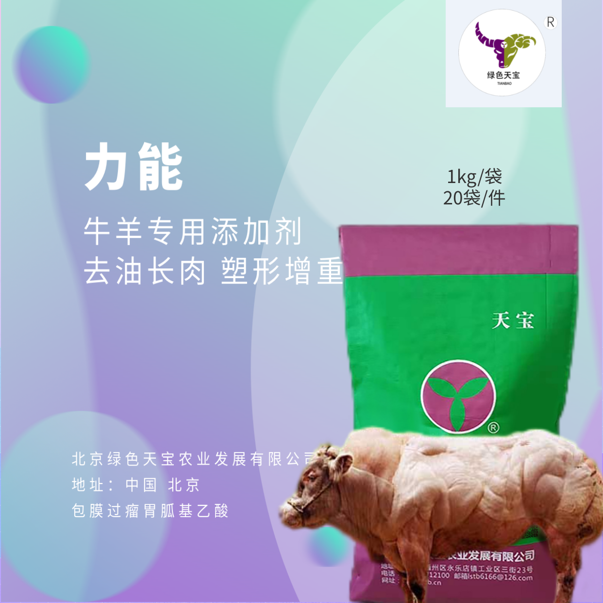 北京绿色天宝肉羊饲料过瘤胃去油长瘦肉提高瘦肉率
