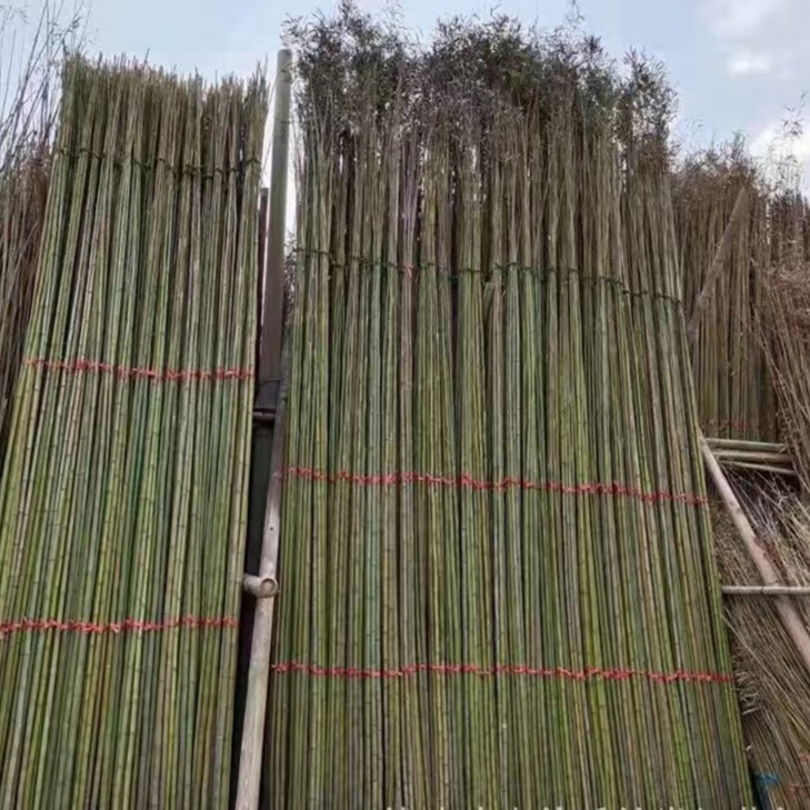 冬货竹子不长虫不破裂 温室大棚搭架竹竿9米长竹秆长短粗细可定制