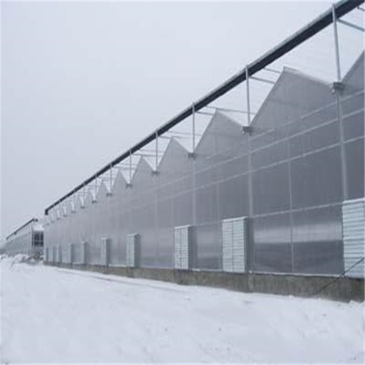 弧形钢结构大棚 山东pc板温室工程 旭航温室工程建设厂家