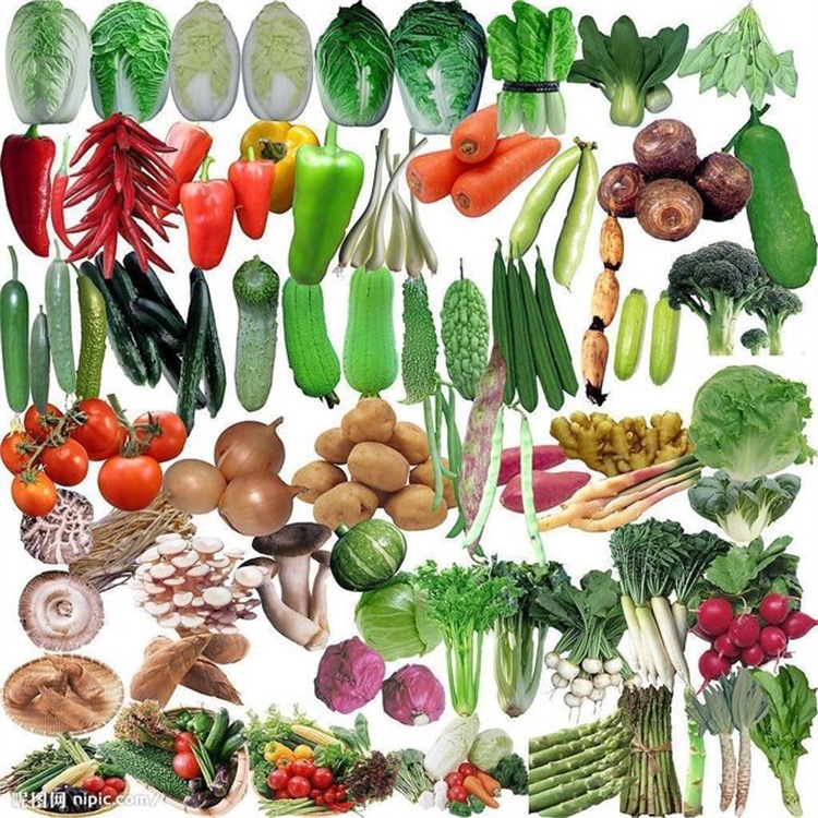 蔬菜荠菜  韭菜   四季豆  豌豆 香葱 品种齐全 量大优惠图片