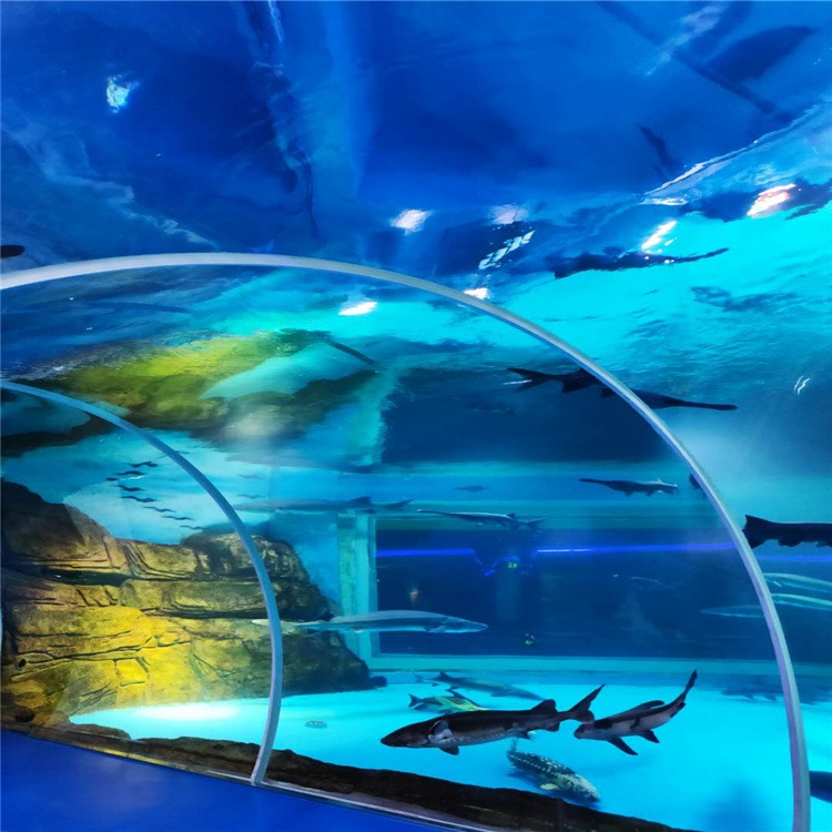 lanhu亚克力鱼缸水族工程 大型鱼缸设计定做安装海洋馆工程海洋馆设计施工