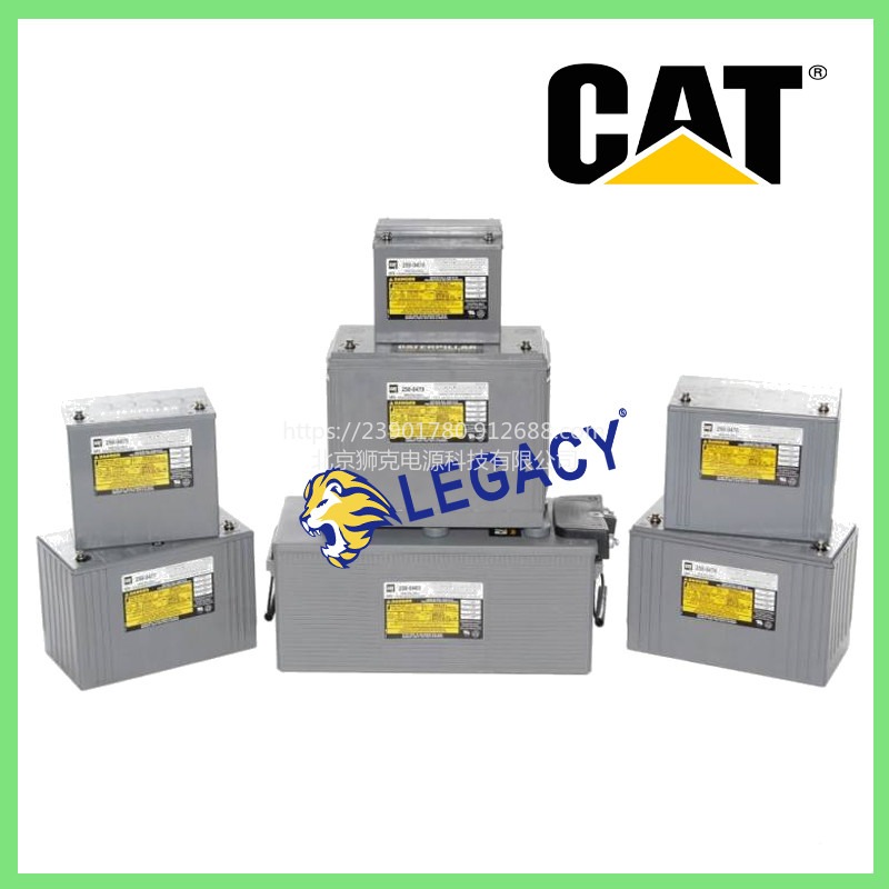 美国CAT蓄电池250-0484，12V55AH电池-新余销售点