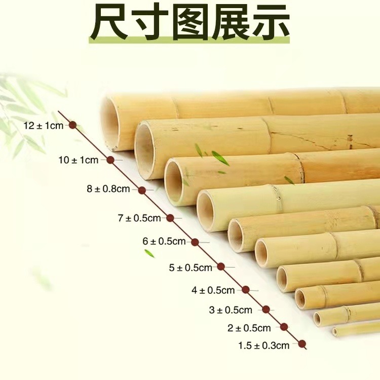 厂家原产地发货0.8米到12米长规格齐全绿化园林竹竿打地桩用竹子量大价优