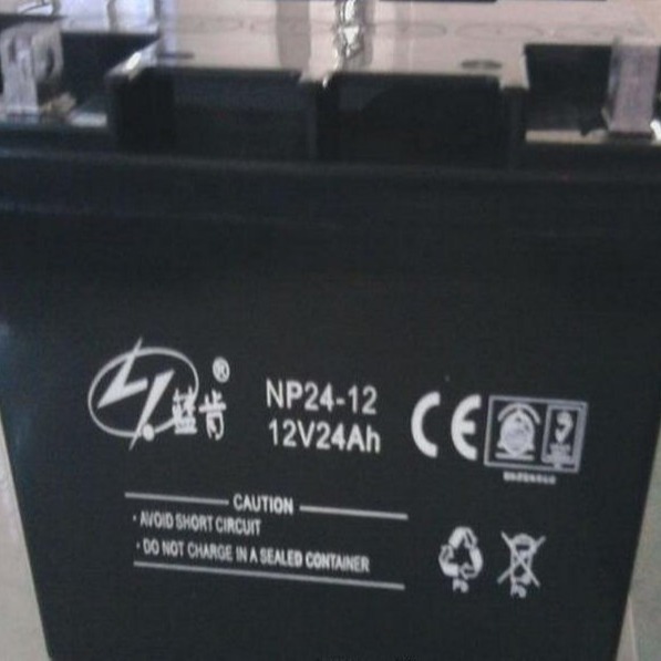 蓝肯NP24-12蓄电池12V24AH机房直流屏控制器医疗监控系统UPS电源