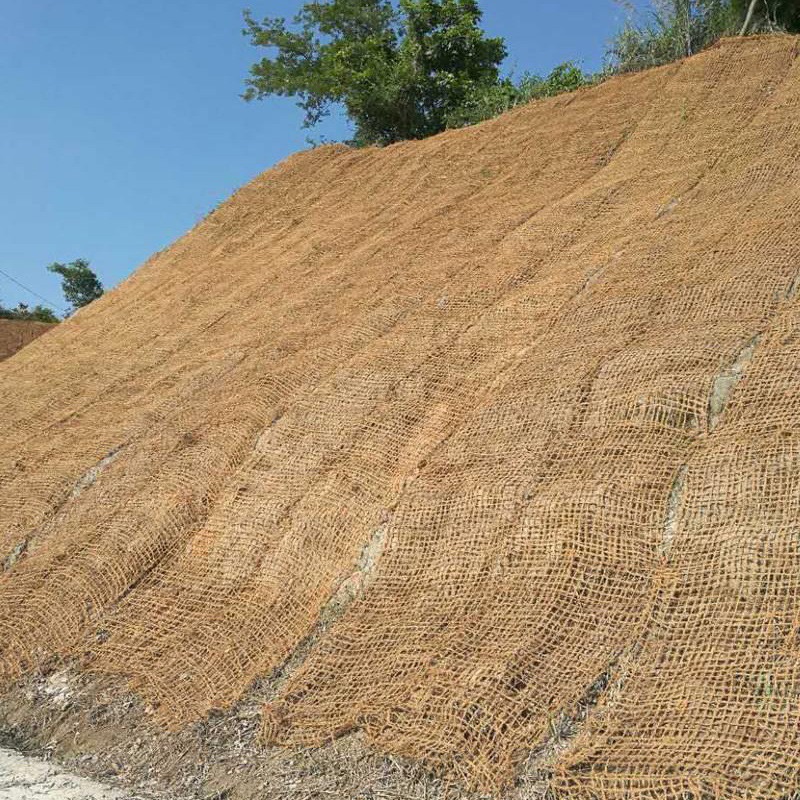 喷播绿化边坡椰网 椰纤维网有较低的伸长率 生态修复椰网 厂家供应
