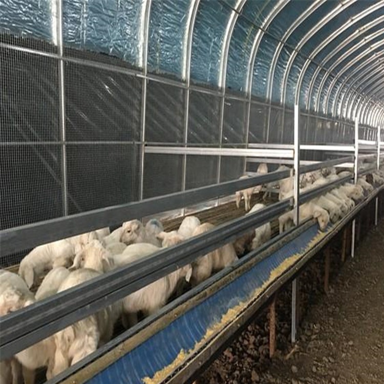 厂家设计安装养殖大棚 包塑大棚骨架 畜牧棚 动物养殖棚 嘉诺