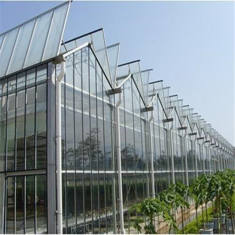 荷兰自动温室 青浦西瓜大棚 邯郸玻璃温室