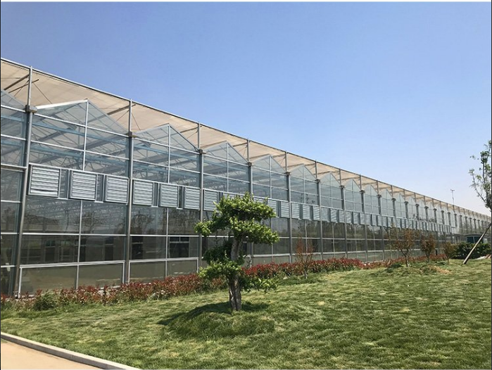 建源温室工程建造简单联栋大棚花卉蔬菜观光大棚
