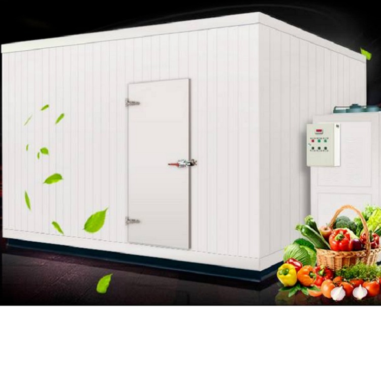 冰艾源头厂家定制制冷设备蔬菜生鲜农副产品冷藏保鲜速冻库