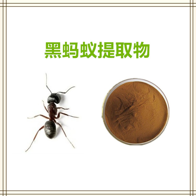 黑蚂蚁提取物 益生祥生物 喷雾干燥粉 浸膏 可水溶 1公斤起订图片