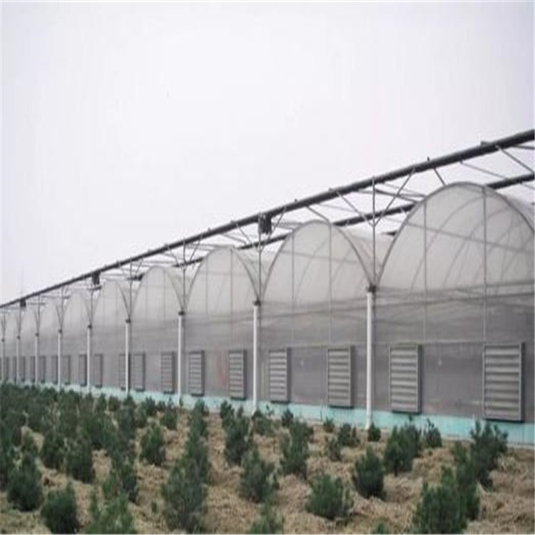 西藏新型智能温室工程 钢构大棚单价旭航温室工程建设厂家
