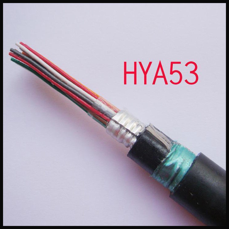 ZRC-HYA53地埋市话电缆 天联牌 HYA53铠装通信电缆