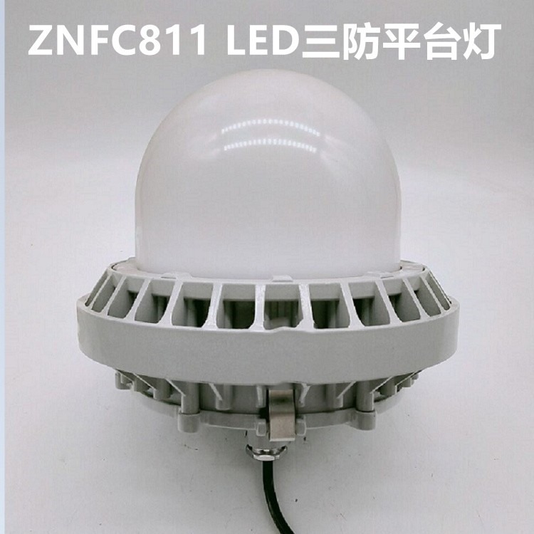 华隆ZNFC811C/LED三防泛光灯/100W-120W(PC款)  适用于铁路、电力、冶金、石油