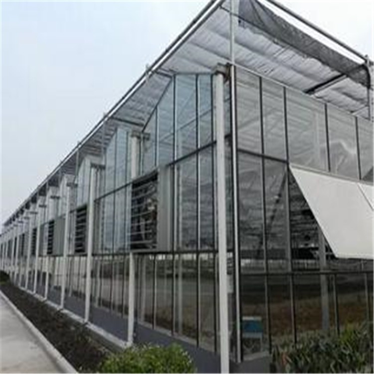 休闲观光玻璃温室 动物养殖大棚造价旭航温室大棚厂家
